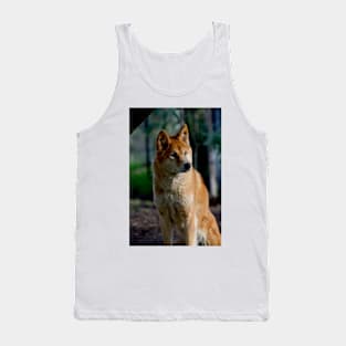 Dingo Gaze Tank Top